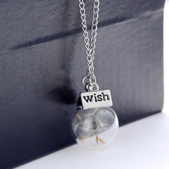 5/$25 Wish Bottle Real Dandelion Seeds Necklace - Picture 11 of 15